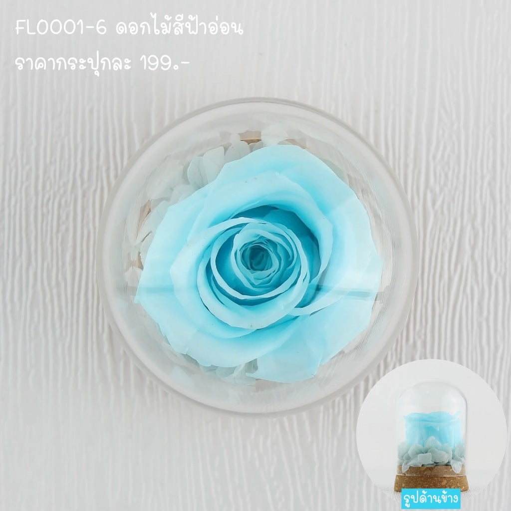 FLO001 ดอกไม้สด ตั้งโชว์ ตกแต่งบ้าน