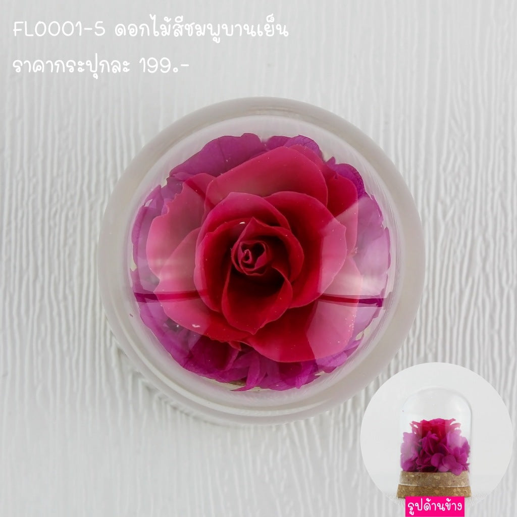FLO001 ดอกไม้สด ตั้งโชว์ ตกแต่งบ้าน