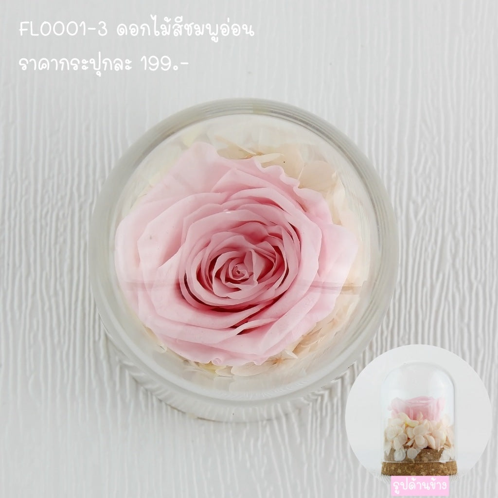 FLO001 ดอกไม้สด ตั้งโชว์ ตกแต่งบ้าน