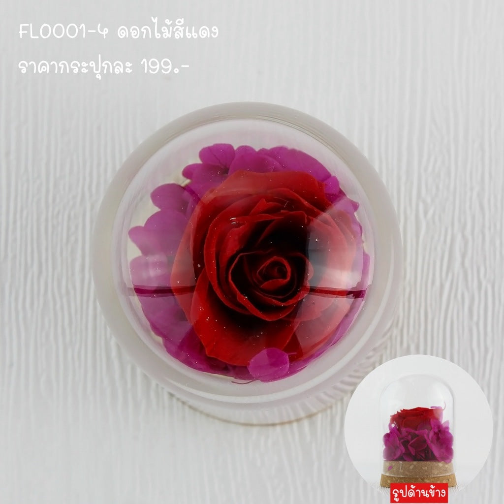 FLO001 ดอกไม้สด ตั้งโชว์ ตกแต่งบ้าน