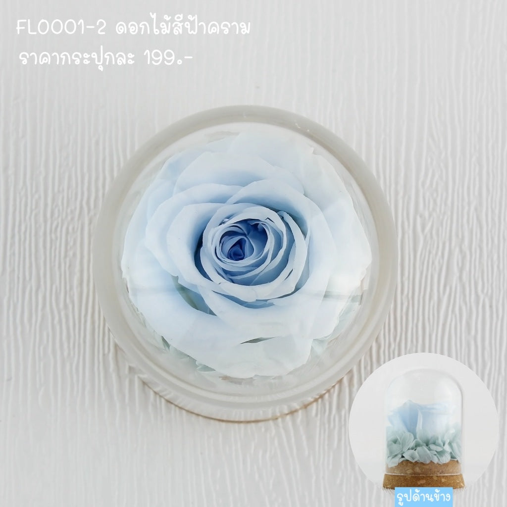 FLO001 ดอกไม้สด ตั้งโชว์ ตกแต่งบ้าน