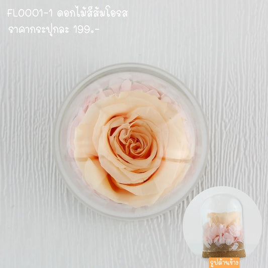 FLO001 ดอกไม้สด ตั้งโชว์ ตกแต่งบ้าน