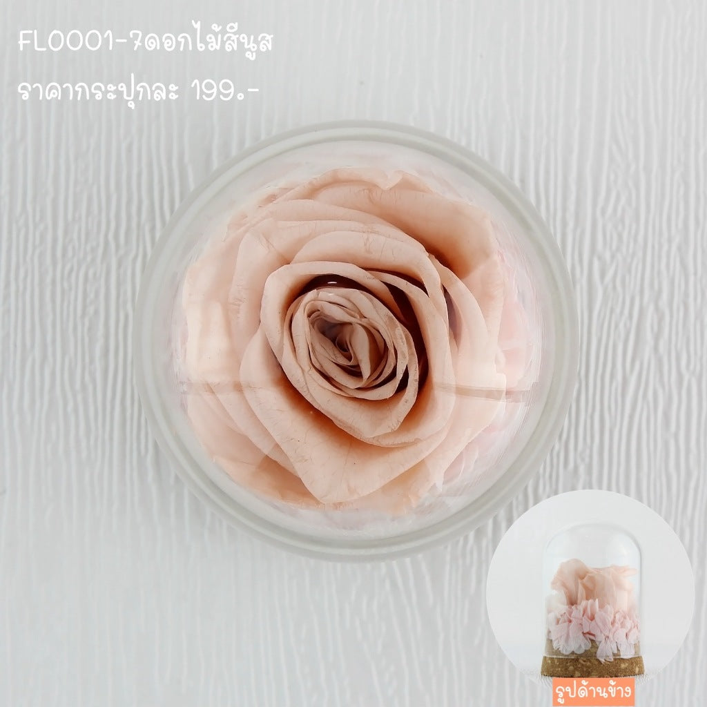 FLO001 ดอกไม้สด ตั้งโชว์ ตกแต่งบ้าน
